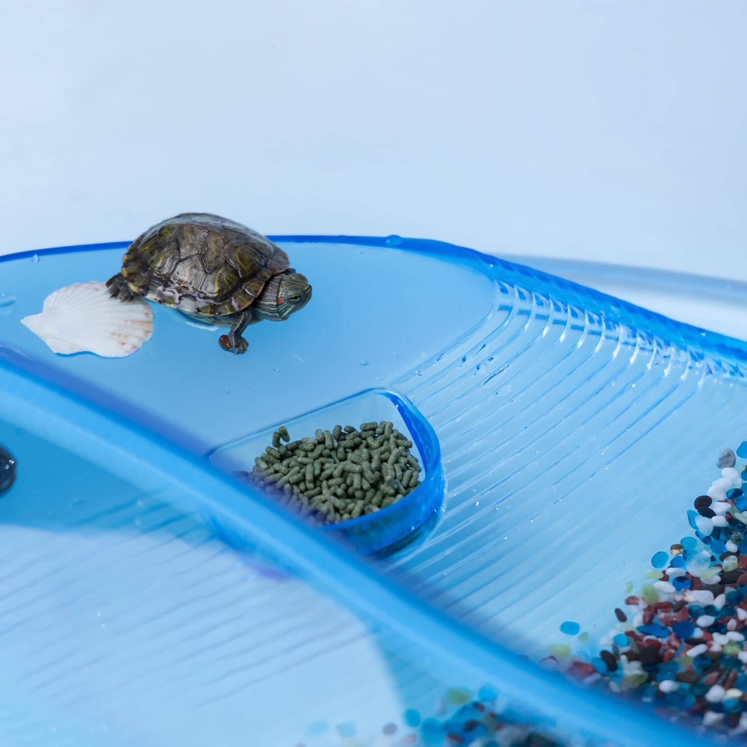 Schildkröten-Aquarium mit Palme, Kunststoff-Terrarium, Reptilienschildkröte Vivarium, L39.5*W27*H14.5CM