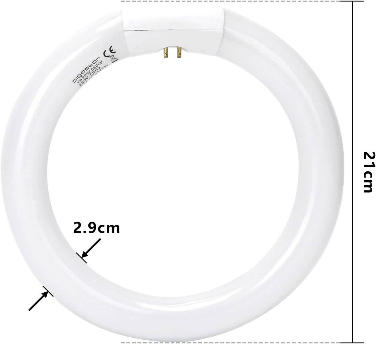 Aigostar - Fluorescent tube circular round neon tubes T9 lamp 21 cm 22 W cool white 6500 K 1200 lm G10Q socket bright fluorescent tube for ring lamp. [Energy Class A]